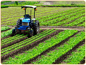 AGRI-SECTOR-GROWTH-INDIA.jpg